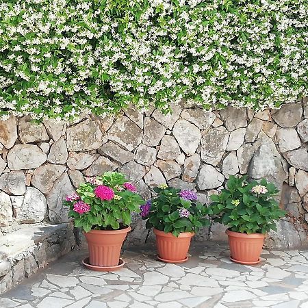 Villa Gromaca Omišalj Exteriör bild